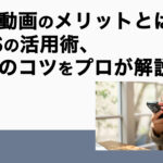 縦型動画のメリットとは？SNSの活用術、制作のコツをプロが解説