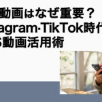 縦型動画はなぜ重要？Instagram・TikTok時代のSNS動画活用術